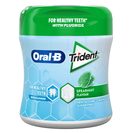 ORAL-B Pastilhas Elásticas Bottle Spearmint 68 g