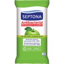 SEPTONA Toalhita Desinfetante Antibacteriana Maçã Verde 15 un SEPTONA Toalhita Desinfetante Antibacteriana Maçã Verde 15 un