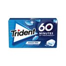 TRIDENT Pastilhas Elásticas 60 Minutos Peppermint 22 g TRIDENT Pastilhas Elásticas 60 Minutos Peppermint 22 g
