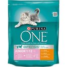 PURINA ONE Alimento Seco Frango e Cereais Integrais para Gato Júnior 800 g