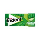 TRIDENT Pastilhas Elásticas Fresh Spearmint 14 g